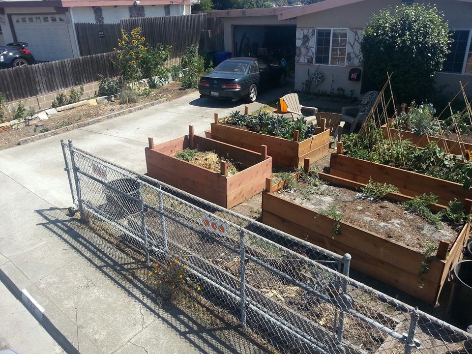 Temple Terroir our permaculture garden